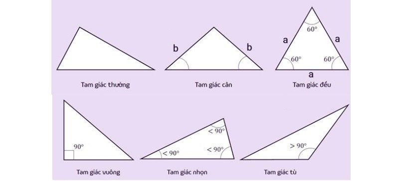 Tam gi&aacute;c th&igrave; c&oacute; nhiều loại kh&aacute;c nhau dựa tr&ecirc;n cấu tạo g&oacute;c
